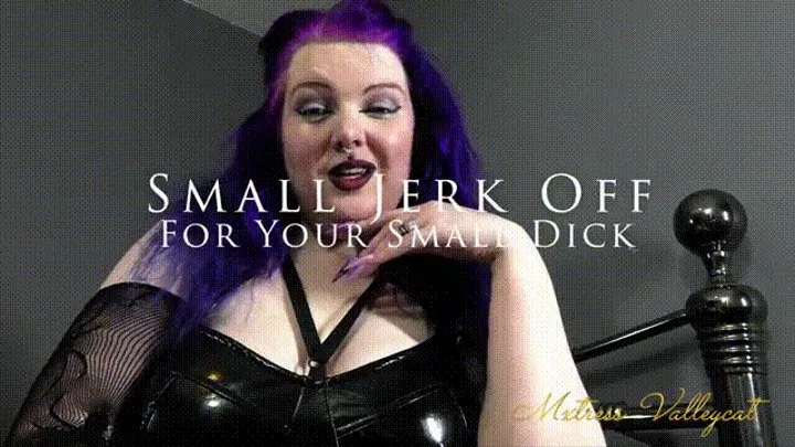 Small Jerk Off For Your Small Dick