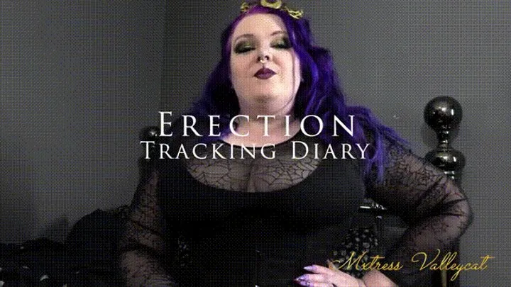 Erection Tracking Diary