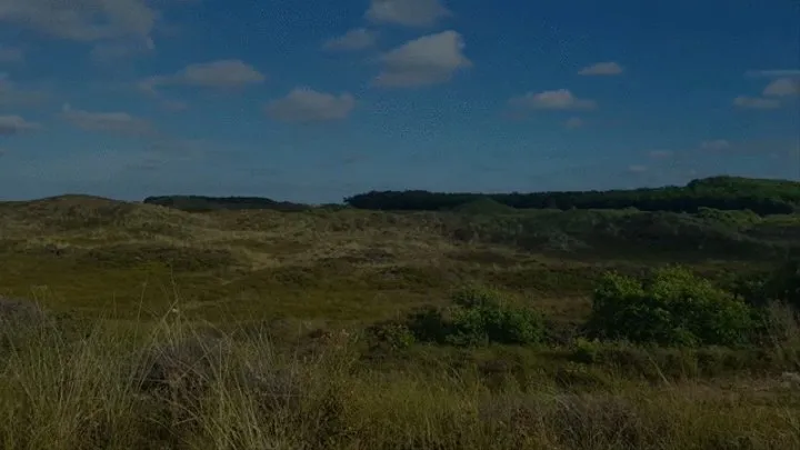 Smoking In The Dunes