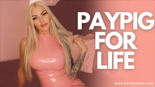 Paypig for Life
