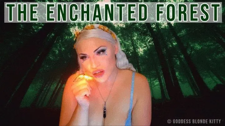 The Enchanted Forest