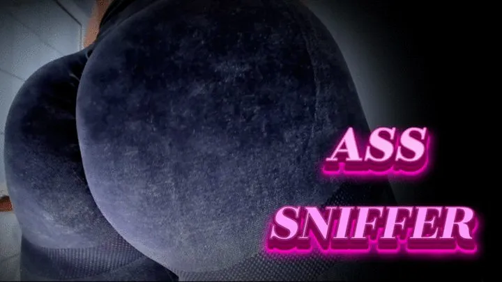 ASS SNIFFER