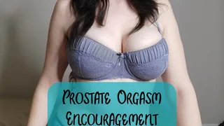 Prostate Orgasm Encouragement