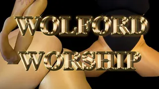 Wolford Tights Worship!