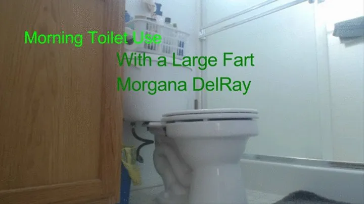 Morning Toilet Use With a Large Fart