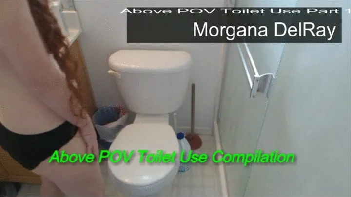 Above POV Toilet Use Compilation