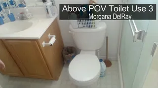 Above Toilet Use POV Part 3