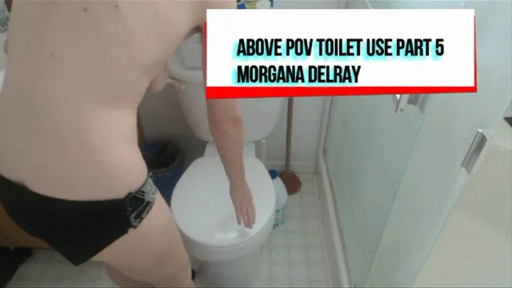 Above Toilet Use POV Part 5 Size WMV