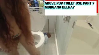 Above Toilet Use POV Part 7 Size WMV