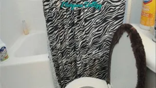Guest Bathroom Use With Pantyliner