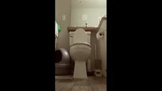 Backwards Toilet Use