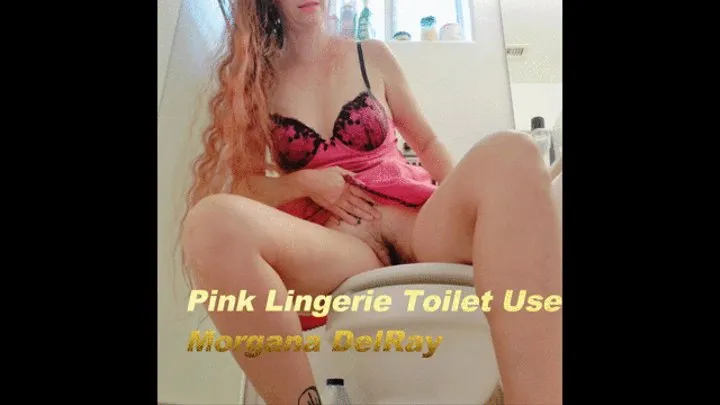 Pink Lingerie Toilet Use