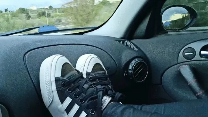 Car sneakers