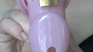 Chastity sissy needs locked in a pink cage