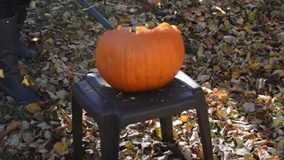 Pumpkin Destruction