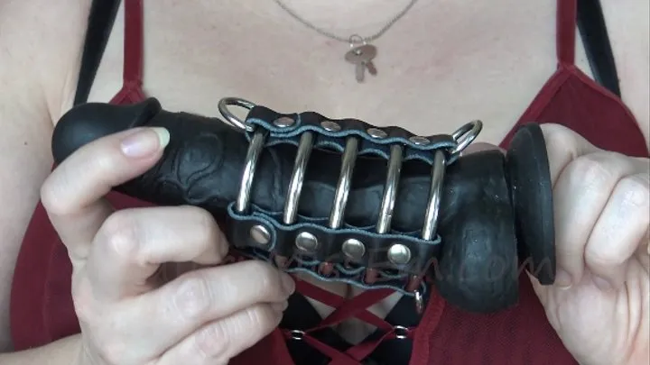 Chastity training cage