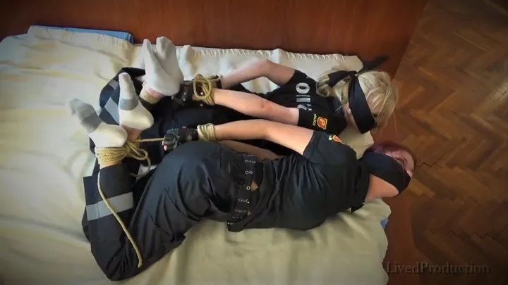 HOGTIE TRAINING