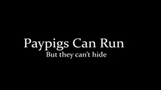 Paypigs Can Run... But they cant hide