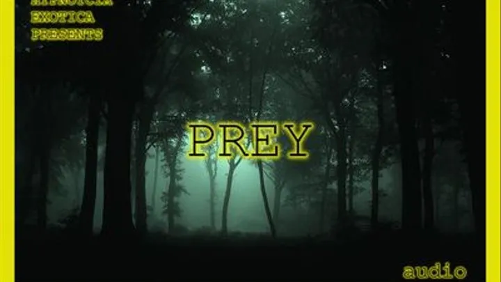 PREY