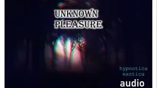 UNKNOWN PLEASURE