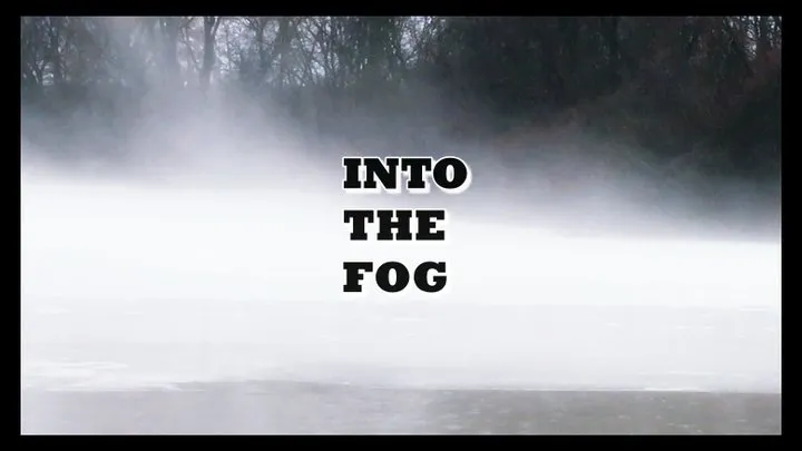 Into the Fog [audio experience]