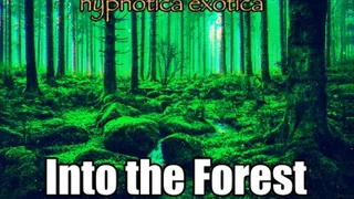 Into the Forest