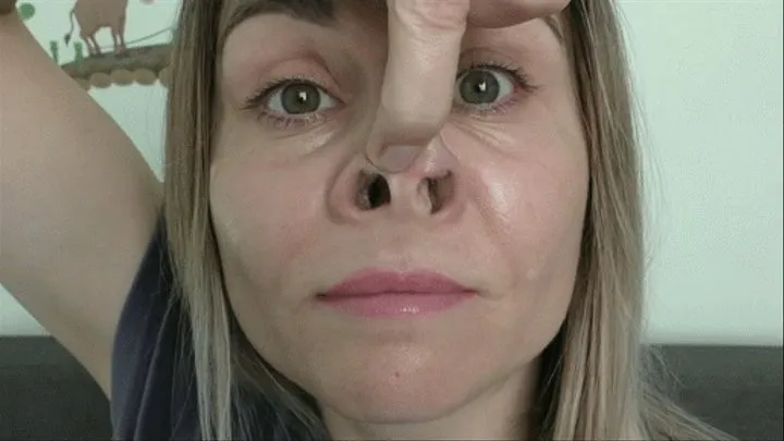 Piggy nose video