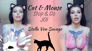 Cat and Mouse - Stop Go JOI Game