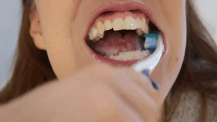 Brushing My Sharp, Strong, Pointy Teeth - Close Up