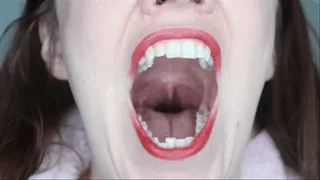 Oral Fix