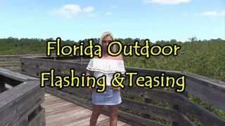 Florida Outdoor Flashing & Teasing