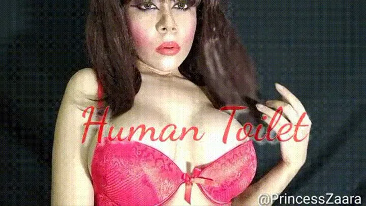 Human Toilet Slave Affirmations Intense Mental Training