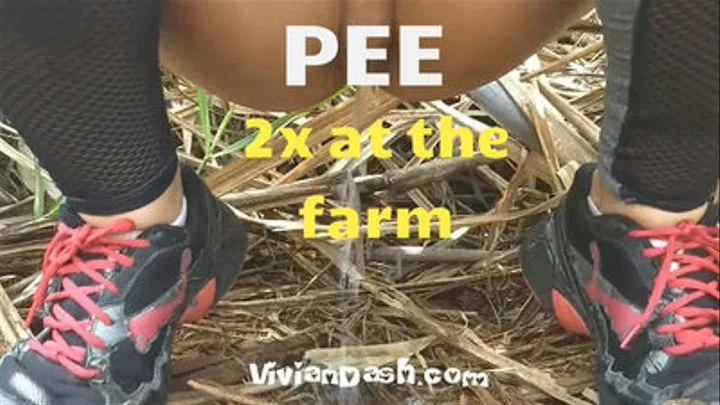 Pee 2x at a farm outdoors