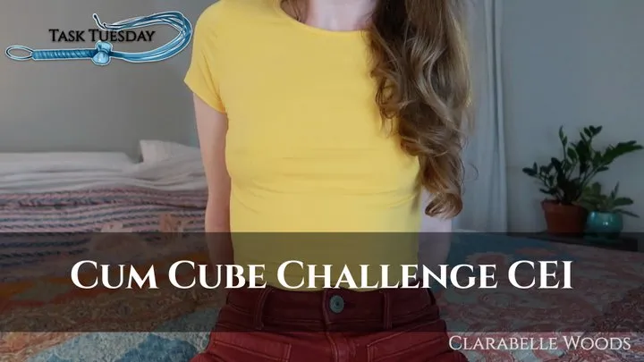 Cum Cube Challenge CEI