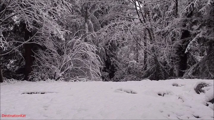 Colored Snow