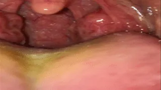 Inside my wet mouth
