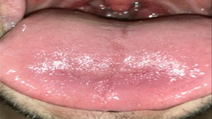 Wet Fleshy Mouth and Tongue