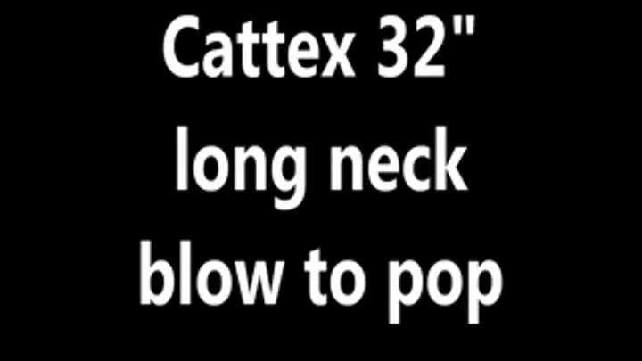 Rebekah Cattex 32" crystal clear long neck blow to pop