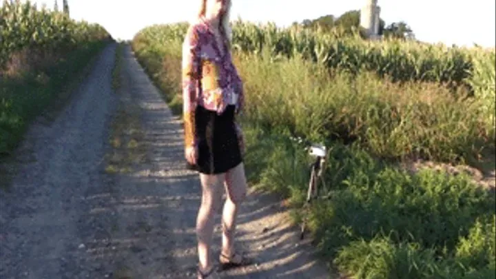 Casey in the corn field