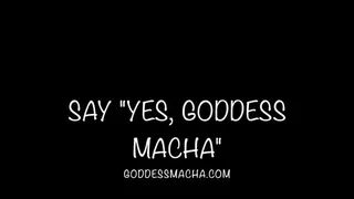 Say "Yes Goddess Macha"