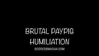 Brutal Paypig Humiliation