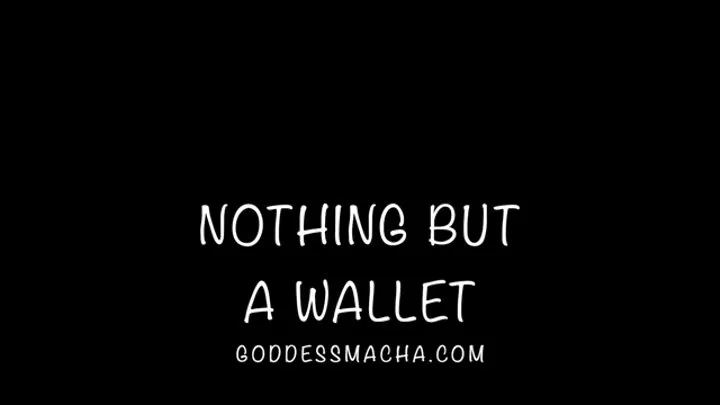 Nothing But A Wallet