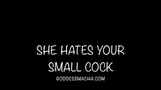 She Hates Your Small Cock