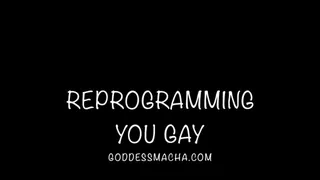Reprogramming You Gay