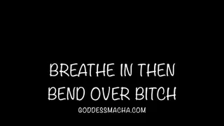 Breathe In & Bend Over, Bitch