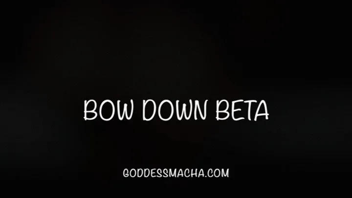 Bow Below Me Beta Bitch