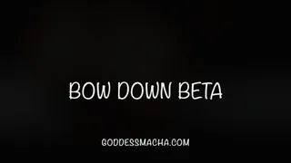 Bow Below Me Beta Bitch