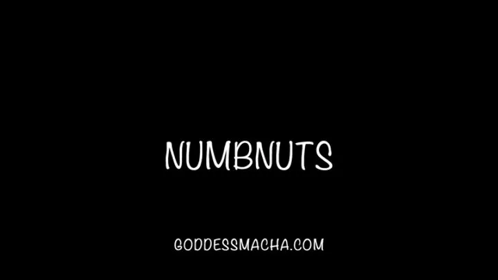 Numbnuts