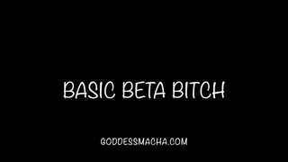 Basic Beta Bitch