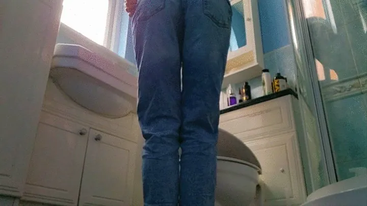 Guest Toilet In Jeans